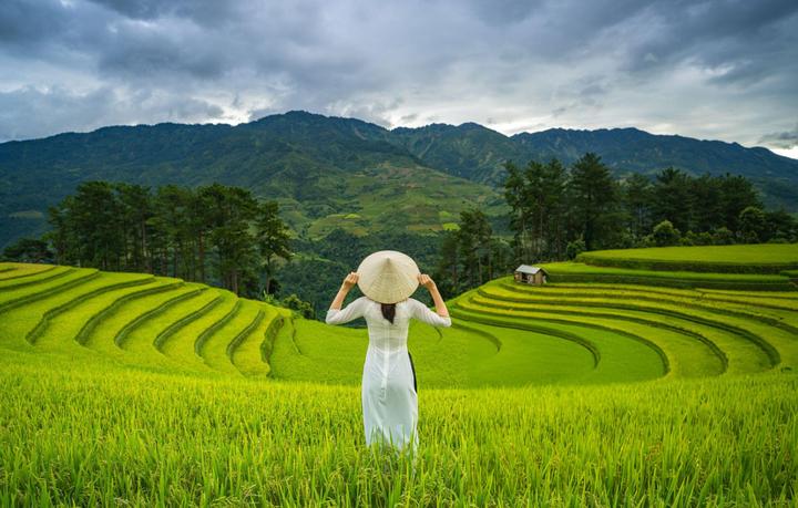Xu hướng Lee Young-Ji cùng sao K-Pop,: Hotspot Matrix tiết lộ bí quyết video viral