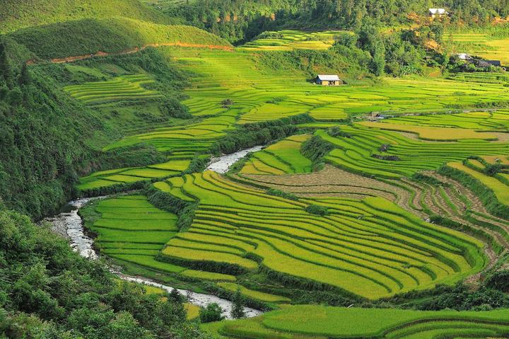 Huang Yoyo: Shop này dựa trên thiết kế basic, nhưng lại trẻ trung và phong cách.