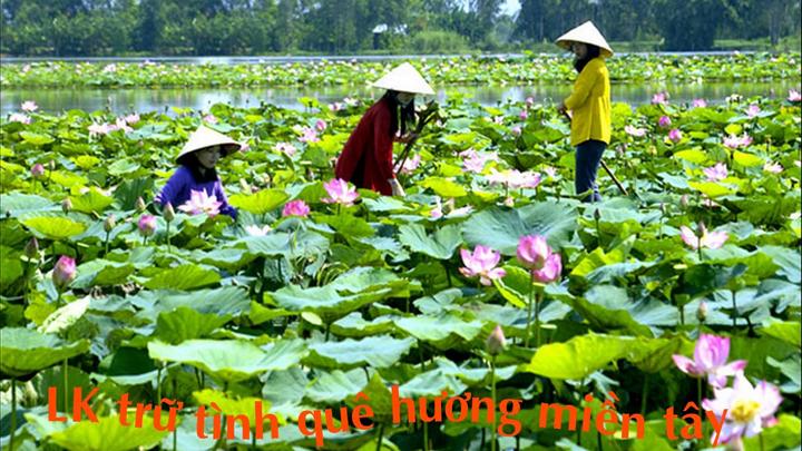 Hotspot Matrix: Từ Ảnh Đẹp Đến Video Sống Động Cho Thợ Ảnh