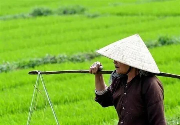 Chuyên gia Hotspot Matrix phân tích: Bác sĩ Cung công khai tin và marketing video